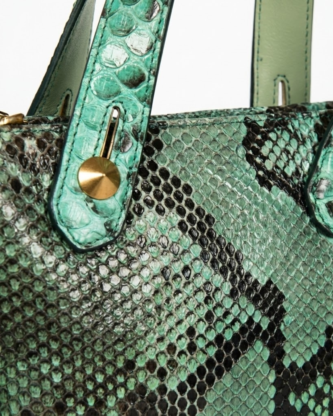 Angelic Italian Python Leather Handbag Green Zebra
