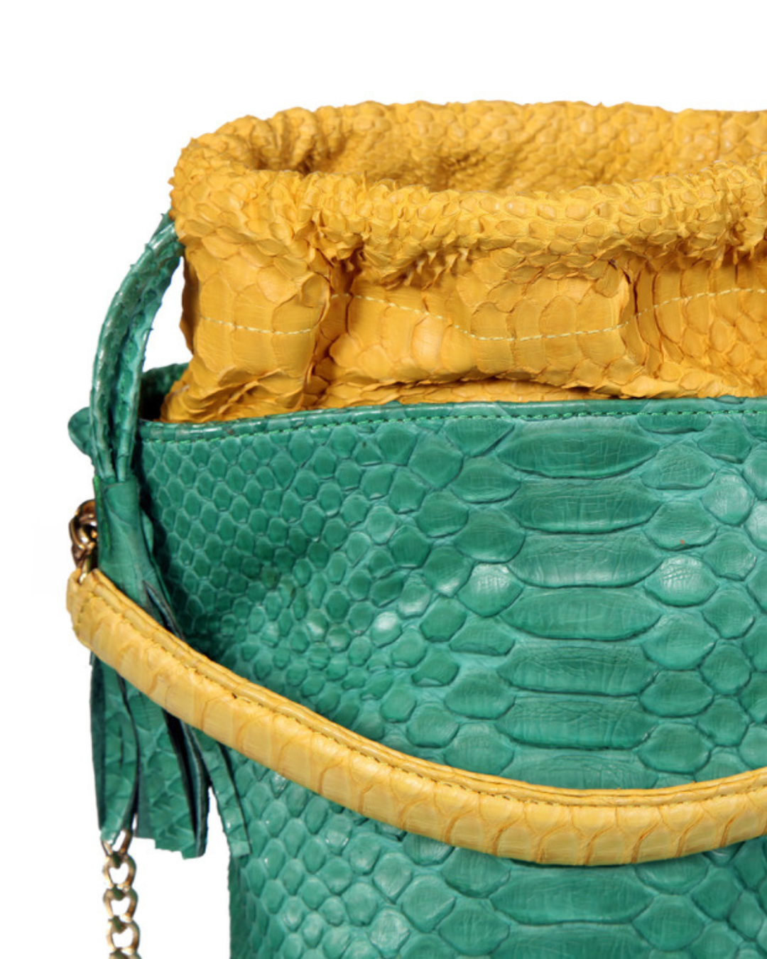 Felicia Brazil Python Italian Leather Handbag